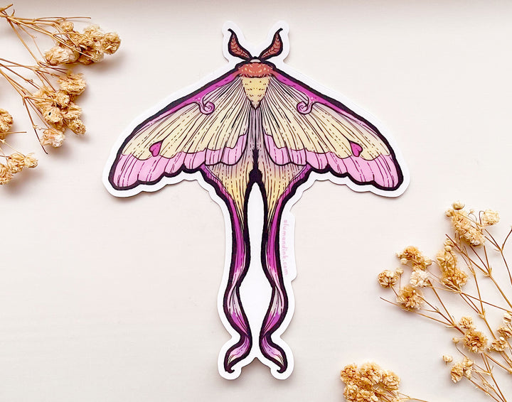 Chinese Moon Moth Clear Vinyl Sticker
