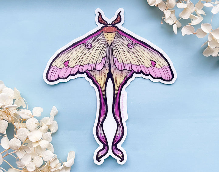 Chinese Moon Moth Clear Vinyl Sticker
