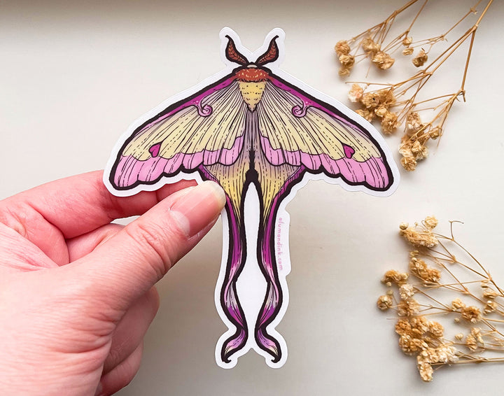 Chinese Moon Moth Clear Vinyl Sticker