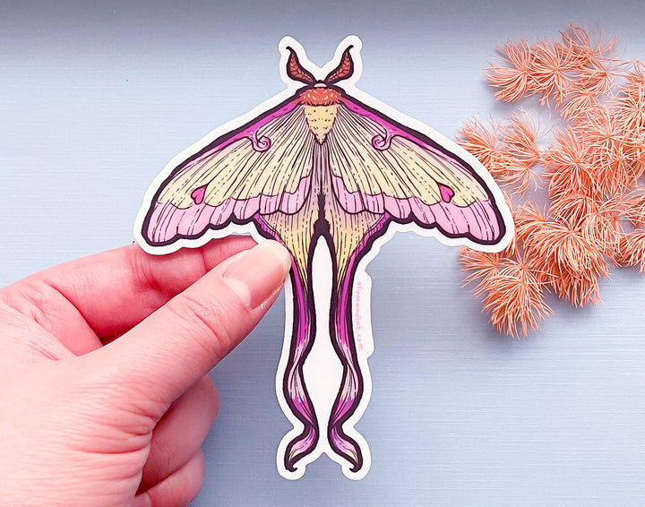 Chinese Moon Moth Clear Vinyl Sticker