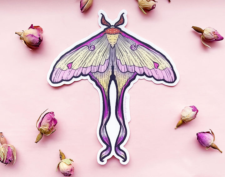 Chinese Moon Moth Clear Vinyl Sticker