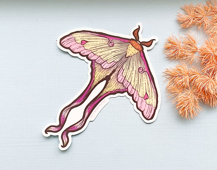 Chinese Moon Moth Clear Vinyl Sticker