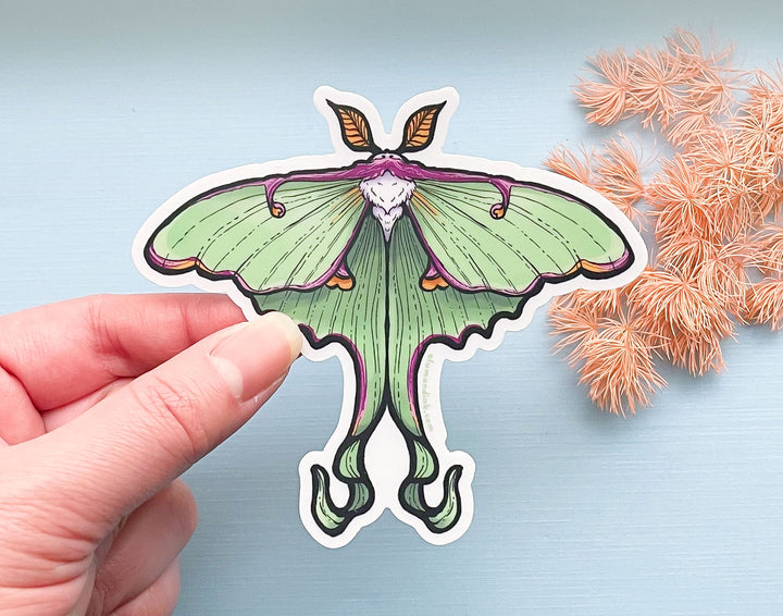 Luna Moth Clear Vinyl Sticker