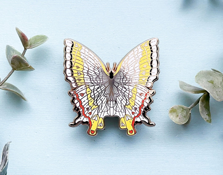 Common Mapwing Butterfly (Cyrestis thyodamas) Enamel Pin
