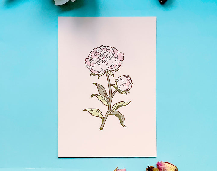 Pink Peony Floral Art Print