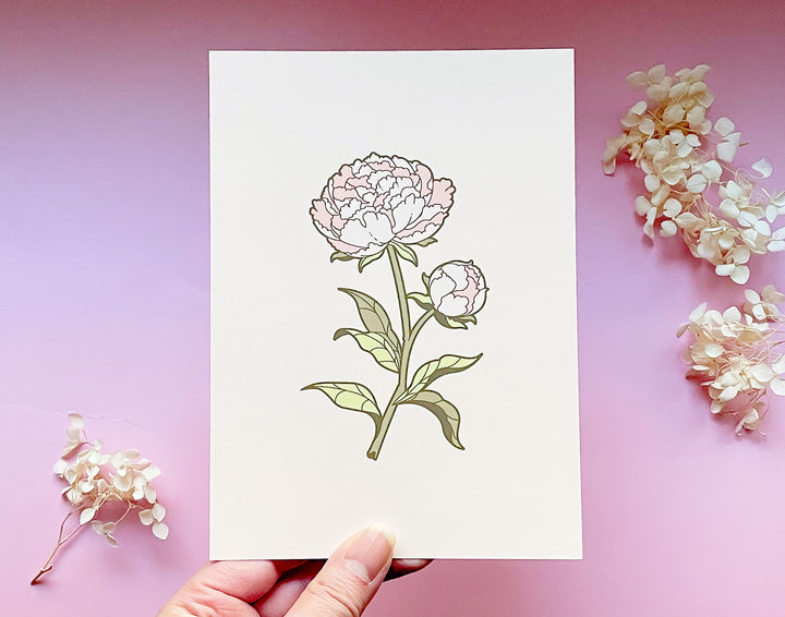 Pink Peony Floral Art Print