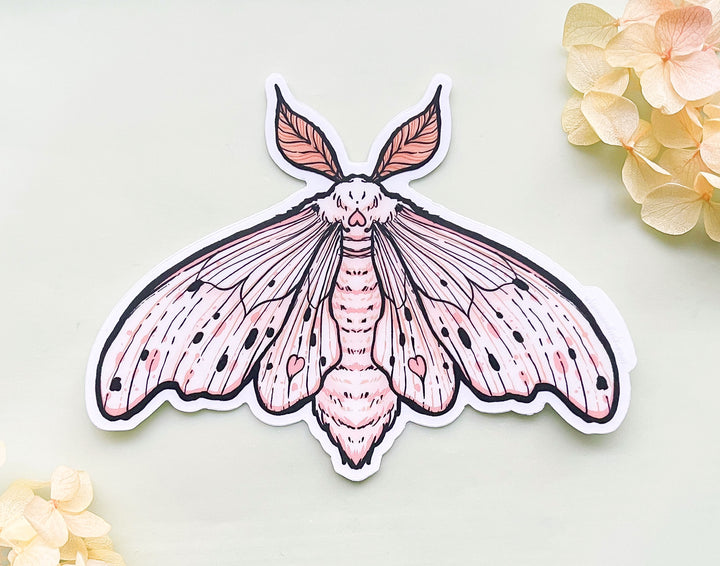 Poodle Moth (Domestic Silk Moth, Bombyx mori) Clear Vinyl Sticker
