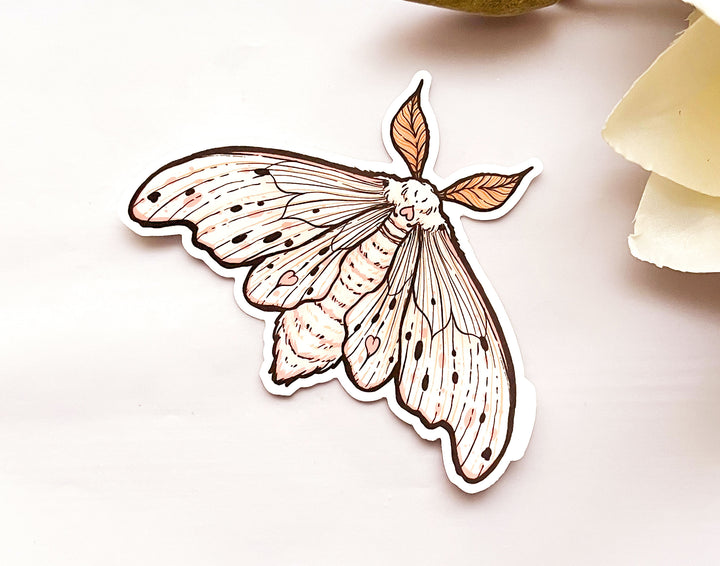 Poodle Moth (Domestic Silk Moth, Bombyx mori) Clear Vinyl Sticker