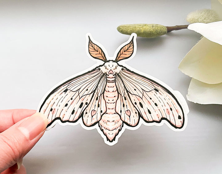 Poodle Moth (Domestic Silk Moth, Bombyx mori) Clear Vinyl Sticker