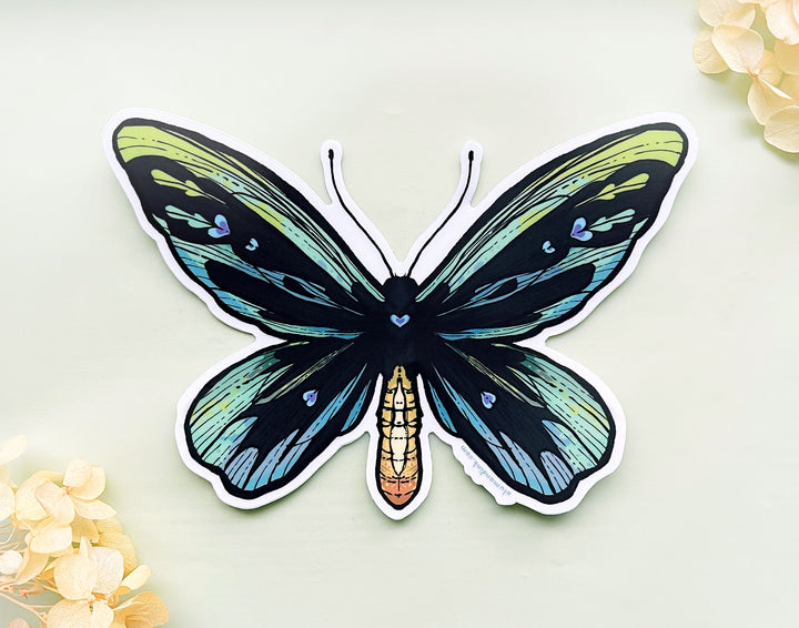 Queen Alexandra's Birdwing Butterfly (Ornithoptera alexandrae) Clear Vinyl Sticker