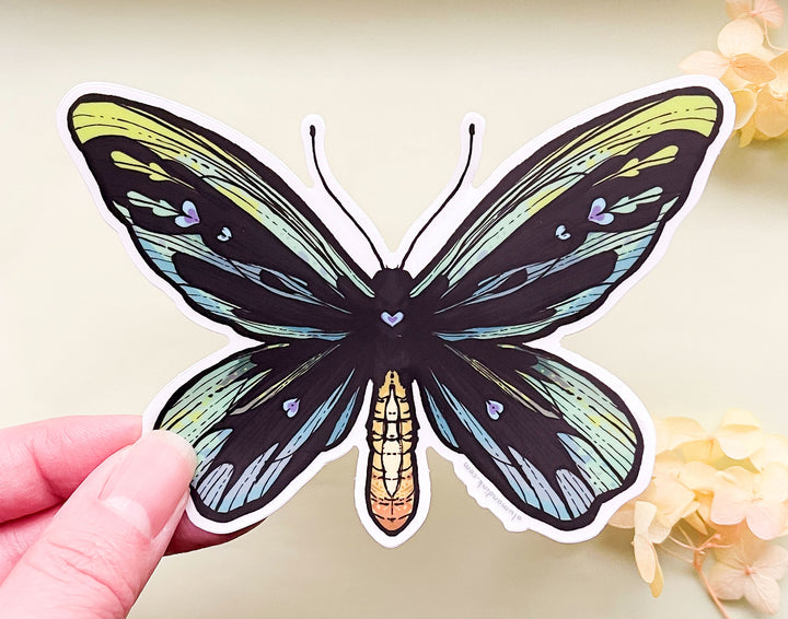 Queen Alexandra's Birdwing Butterfly (Ornithoptera alexandrae) Clear Vinyl Sticker