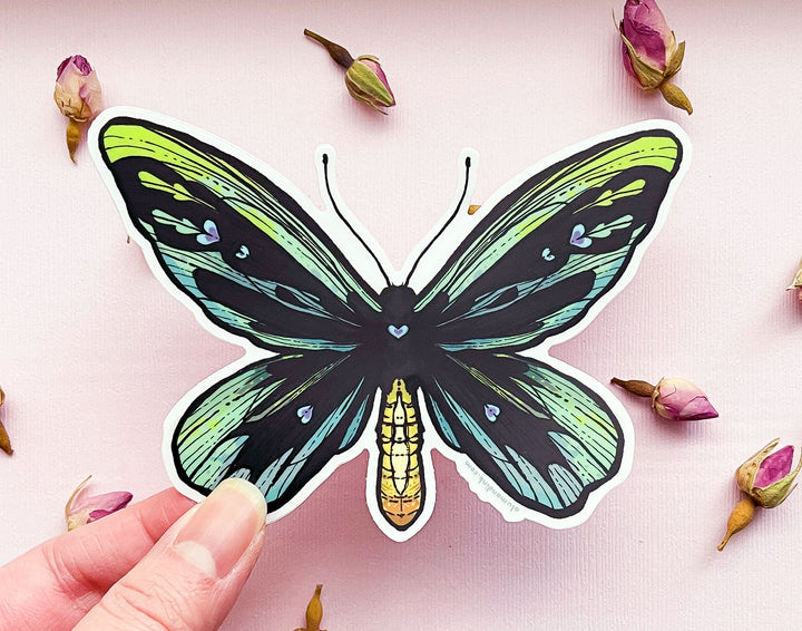 Queen Alexandra's Birdwing Butterfly (Ornithoptera alexandrae) Clear Vinyl Sticker