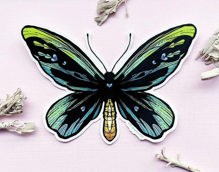 Queen Alexandra's Birdwing Butterfly (Ornithoptera alexandrae) Clear Vinyl Sticker