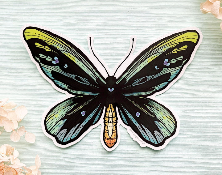 Queen Alexandra's Birdwing Butterfly (Ornithoptera alexandrae) Clear Vinyl Sticker