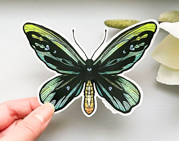 Queen Alexandra's Birdwing Butterfly (Ornithoptera alexandrae) Clear Vinyl Sticker