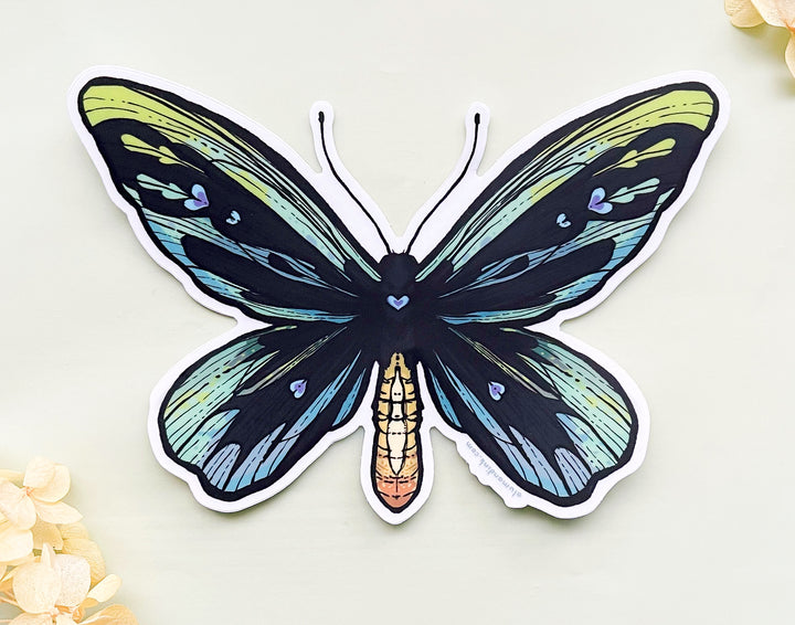Queen Alexandra's Birdwing Butterfly (Ornithoptera alexandrae) Clear Vinyl Sticker