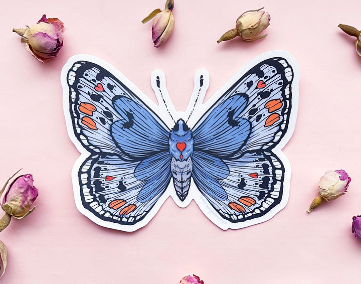 Sonoran Blue Butterfly Clear Vinyl Sticker