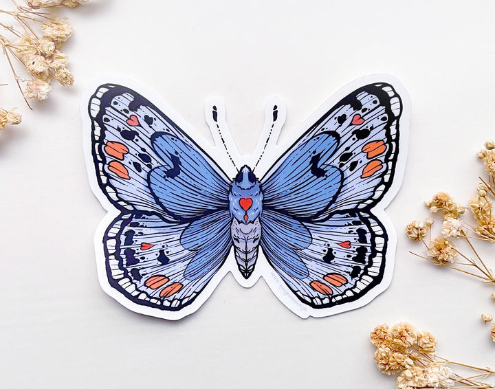 Sonoran Blue Butterfly Clear Vinyl Sticker