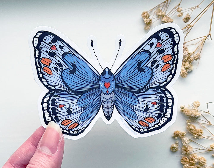 Sonoran Blue Butterfly Clear Vinyl Sticker