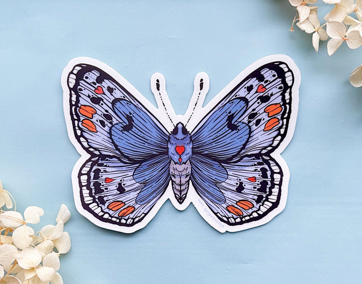 Sonoran Blue Butterfly Clear Vinyl Sticker