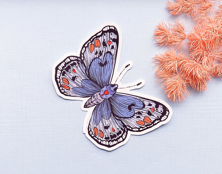 Sonoran Blue Butterfly Clear Vinyl Sticker