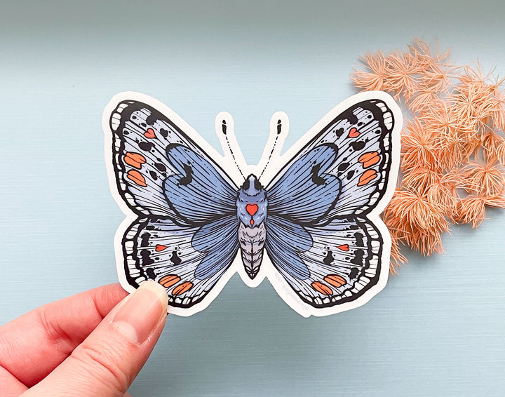 Sonoran Blue Butterfly Clear Vinyl Sticker