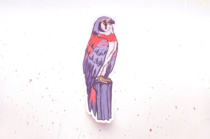 Sparrow Hawk Clear Vinyl Sticker
