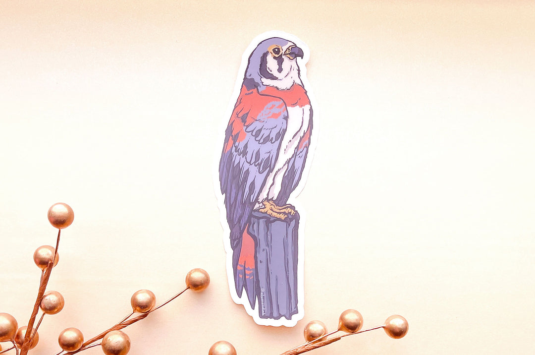 Sparrow Hawk Clear Vinyl Sticker