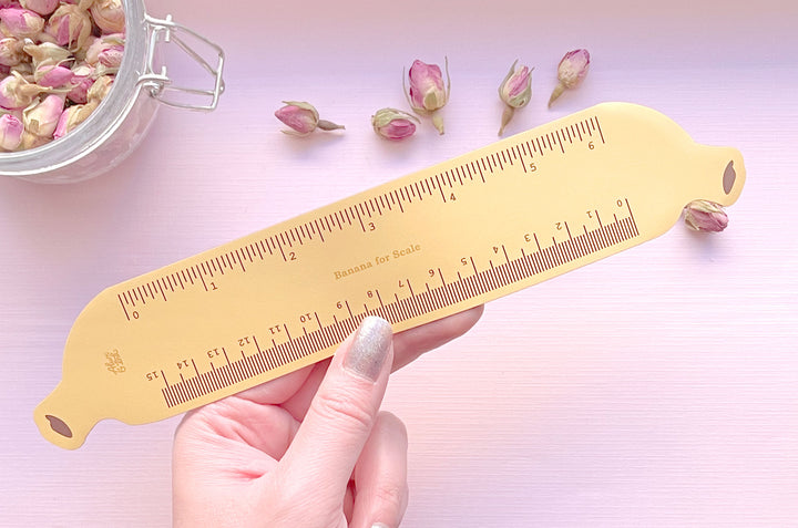 Banana For Scale Ruler Magnet