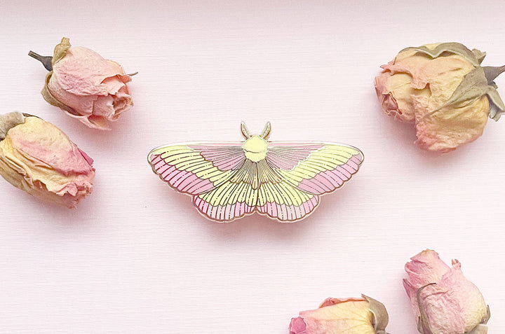 Rosy Maple Moth (Dryocampa rubicunda) Enamel Pin