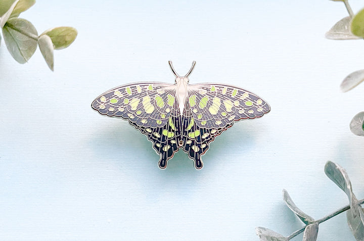 Spotted Jay Butterfly (Graphium agamemnon) Enamel Pin