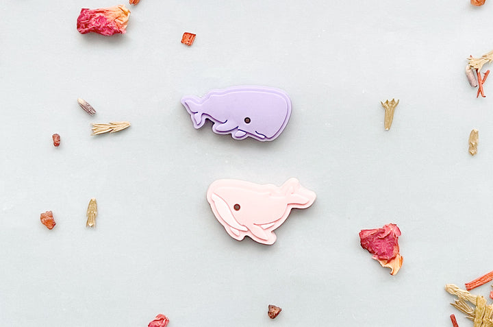 Sperm Whale and Humpback Whale Mini Magnet Set