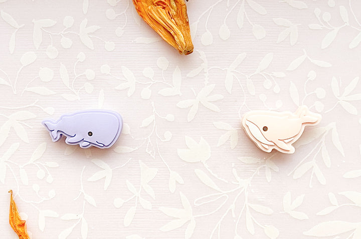 Sperm Whale and Humpback Whale Mini Magnet Set