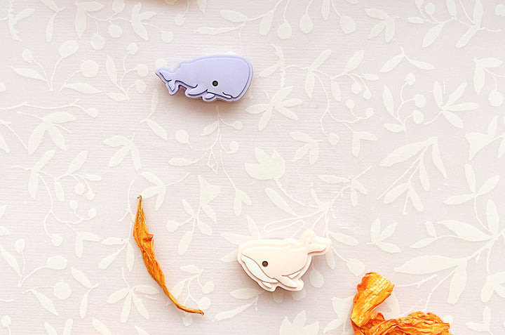 Sperm Whale and Humpback Whale Mini Magnet Set