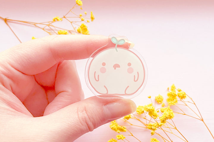 Silly Seedlings Acrylic Clips Set