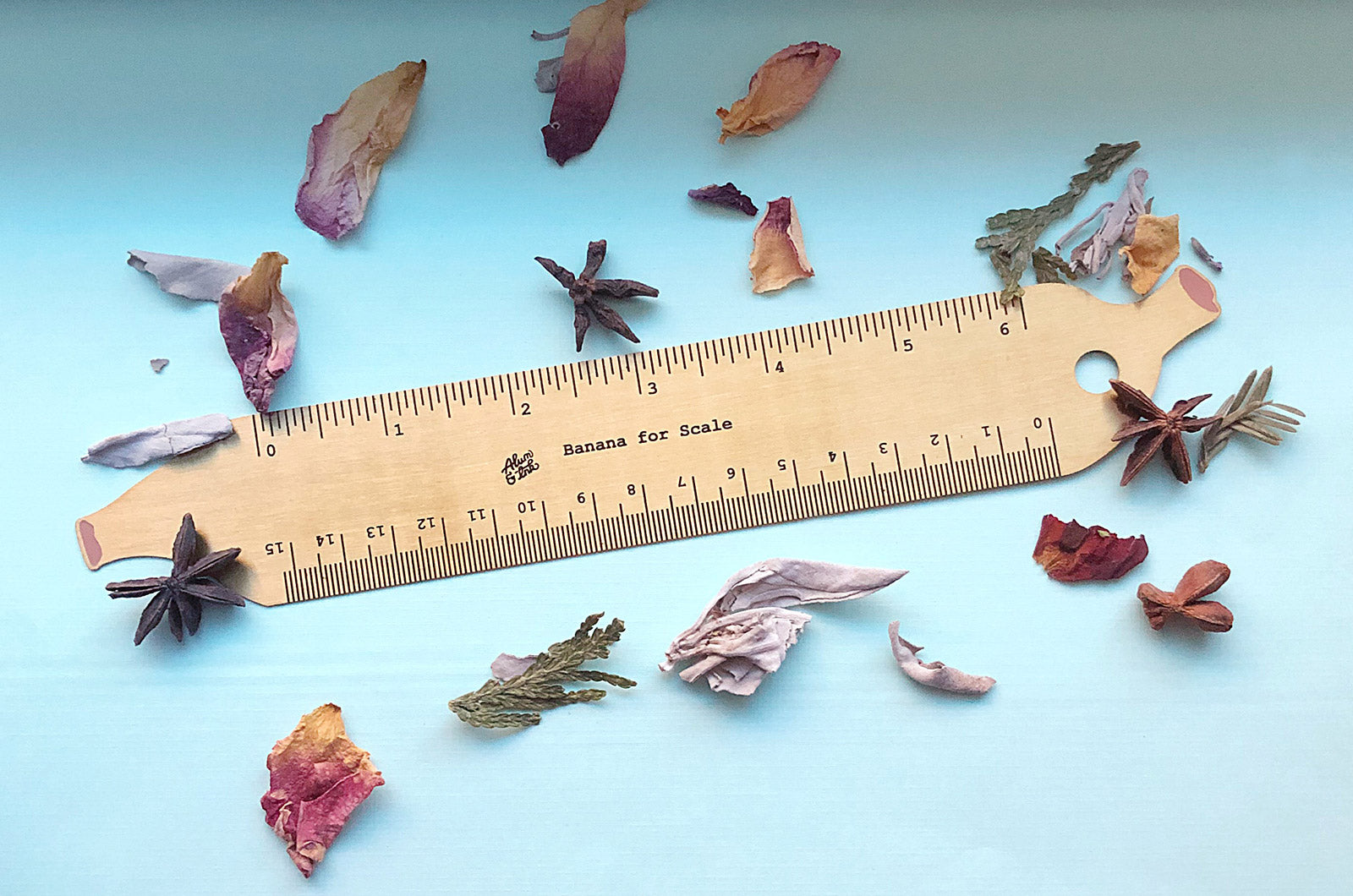 Botanical Ruler Rulers – Alum and Ink