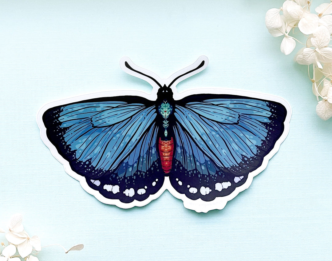 Atala Hairstreak Butterfly Clear Vinyl Sticker