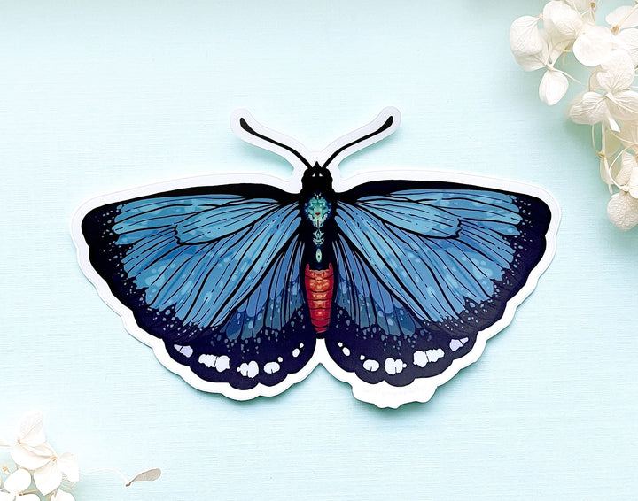 Atala Hairstreak Butterfly Clear Vinyl Sticker