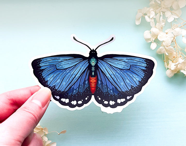 Atala Hairstreak Butterfly Clear Vinyl Sticker
