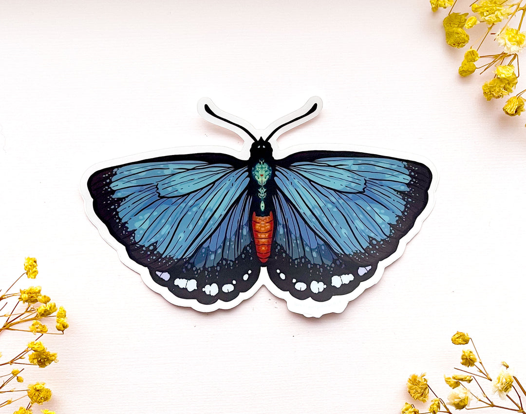 Atala Hairstreak Butterfly Clear Vinyl Sticker