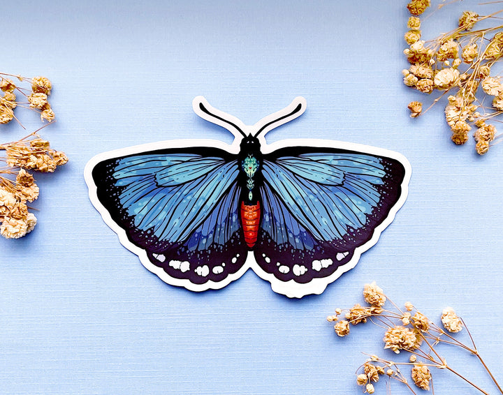 Atala Hairstreak Butterfly Clear Vinyl Sticker