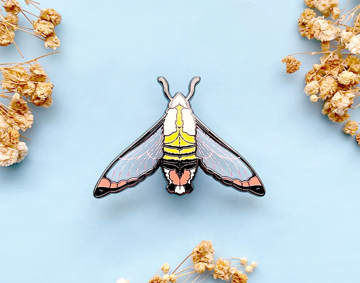 Narrow-Bordered Bee Hawkmoth (Hemaris tityus) Enamel Pin