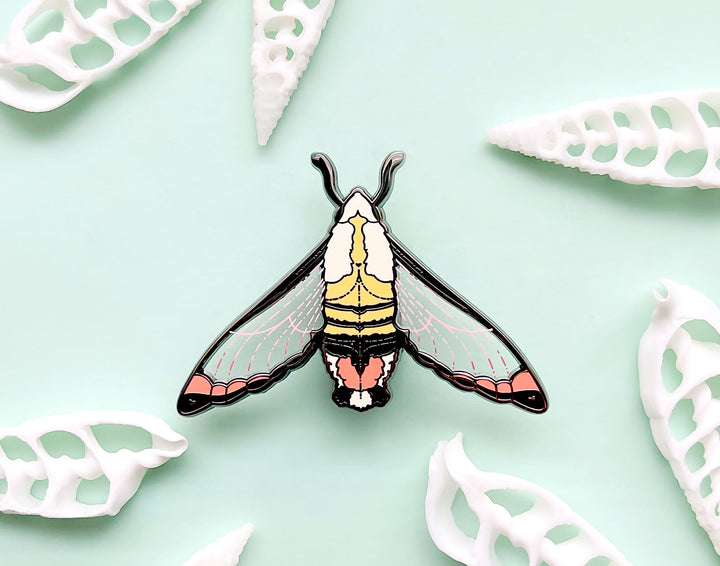 Narrow-Bordered Bee Hawkmoth (Hemaris tityus) Enamel Pin