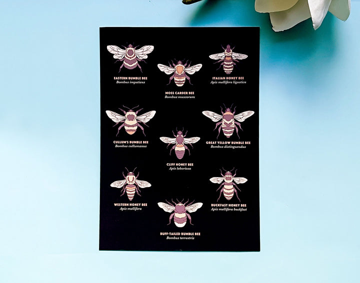 Types of Bees Art Print