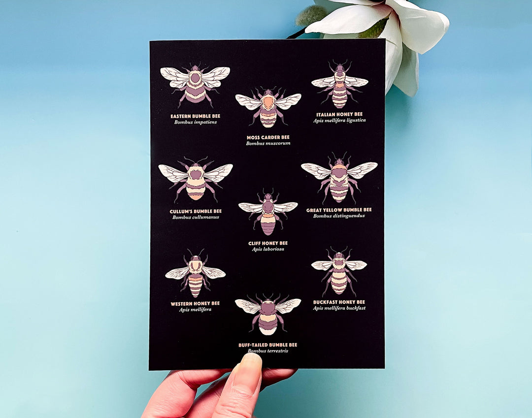 Types of Bees Art Print
