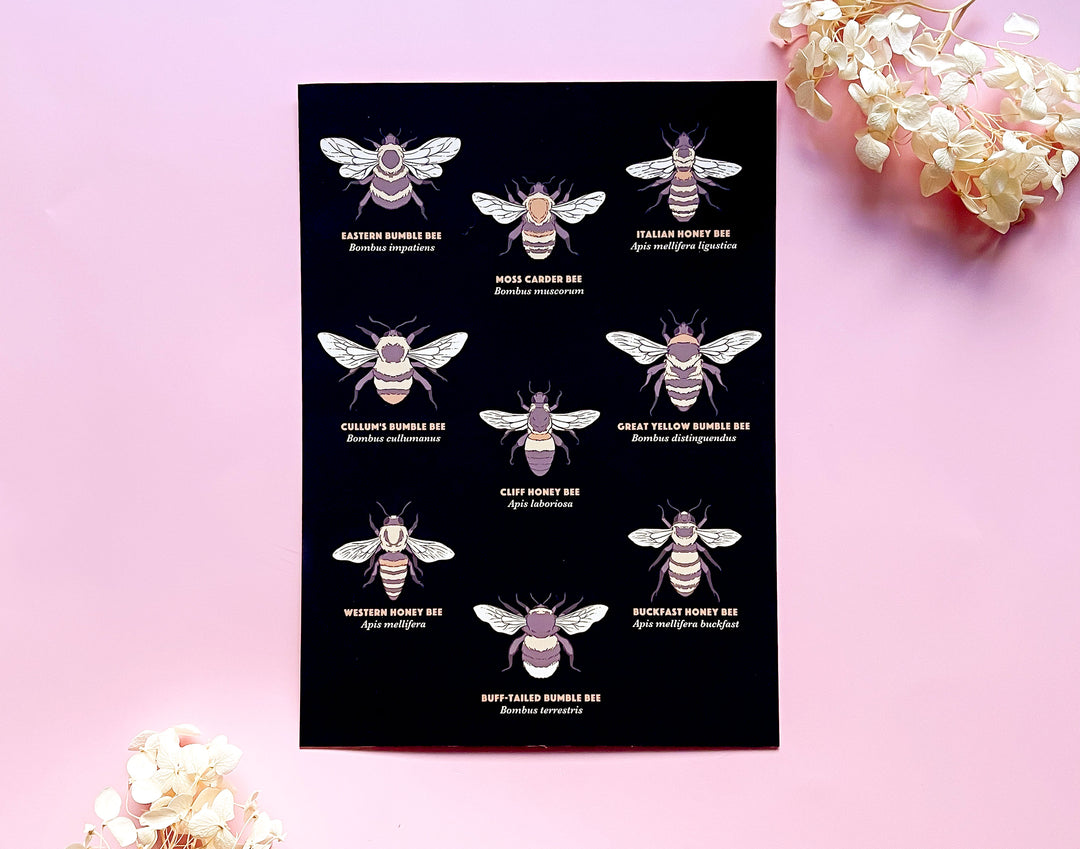 Types of Bees Art Print