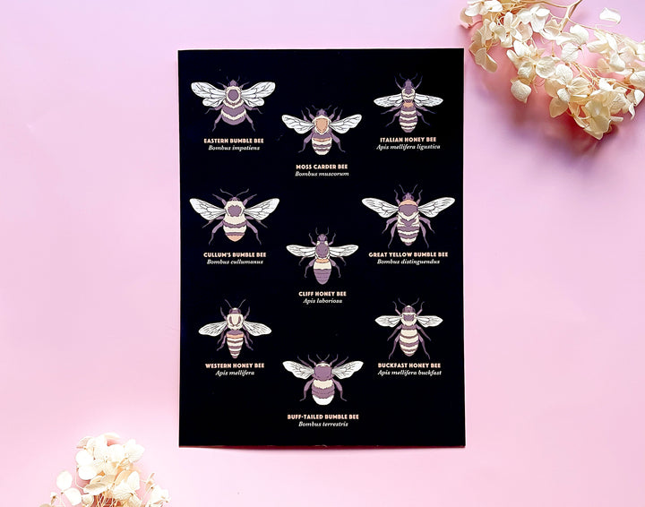 Types of Bees Art Print