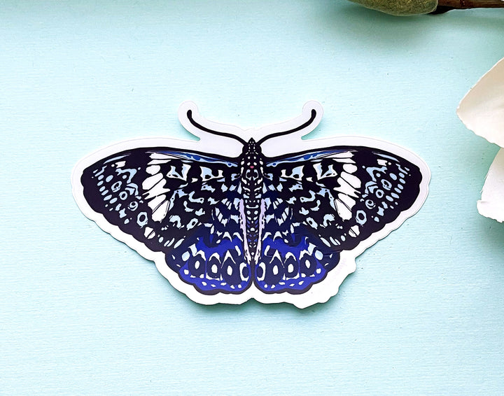 Starry Night Cracker Butterfly Clear Vinyl Sticker