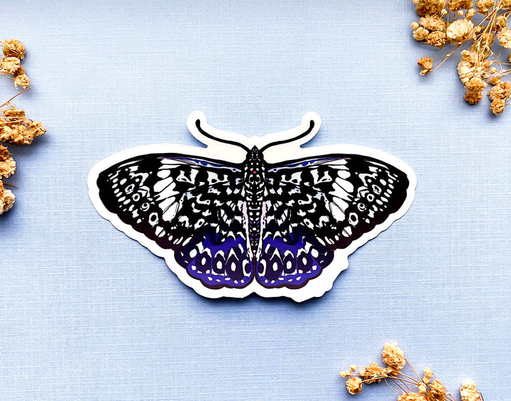 Starry Night Cracker Butterfly Clear Vinyl Sticker