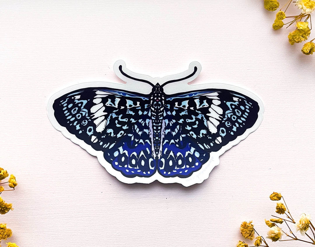 Starry Night Cracker Butterfly Clear Vinyl Sticker